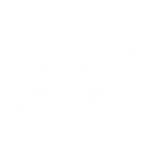Logo de Diana Aveiga
